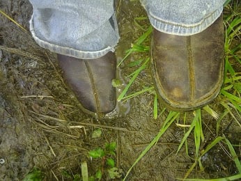 Peacehaven Mobile Home Park