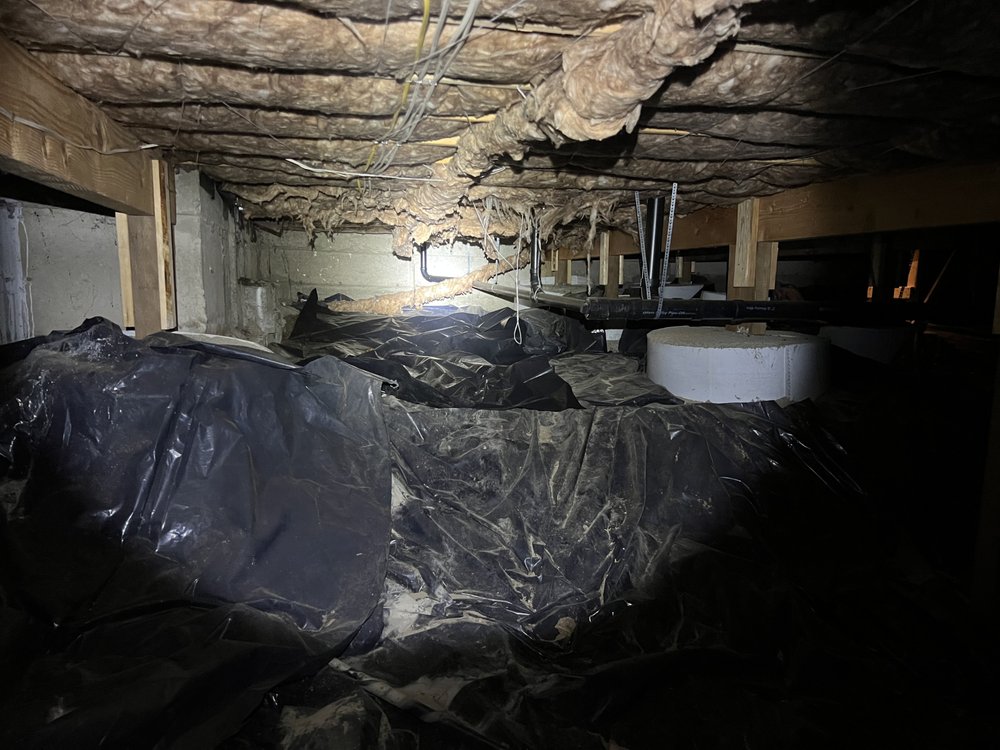 XP Inspection Services