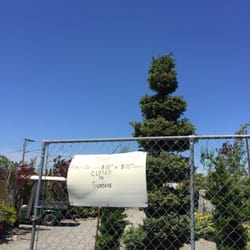 West Valley Nursery Nurseries Gardening 27701 W Hwy S Photo Of West Valley Nursery Kent Wa United States Hours Operation