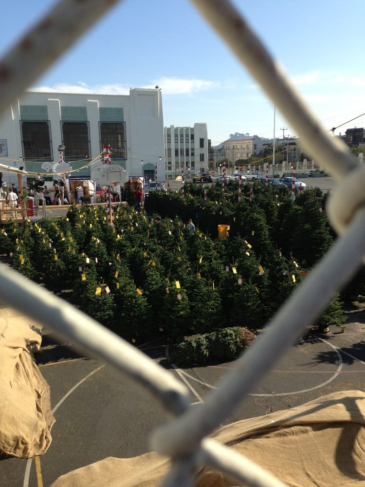 delancey street christmas tree lot closed 17 reviews delancey street christmas tree lot closed 17 reviews
