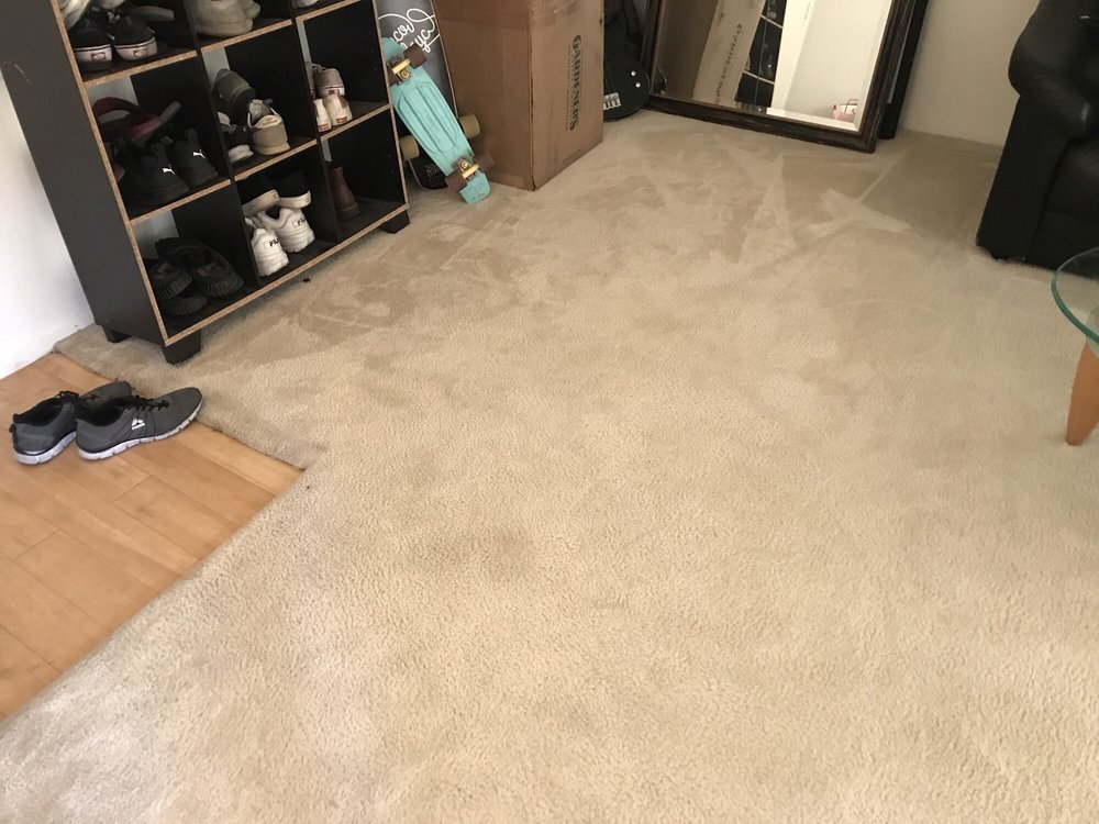 Rafi Carpet Care 10 Reviews Cleaning 1234 N La Brea Ave Rafi Carpet Care 10 Reviews Cleaning 1234 N La Brea Ave West Hollywood Ca Phone Number Yelp