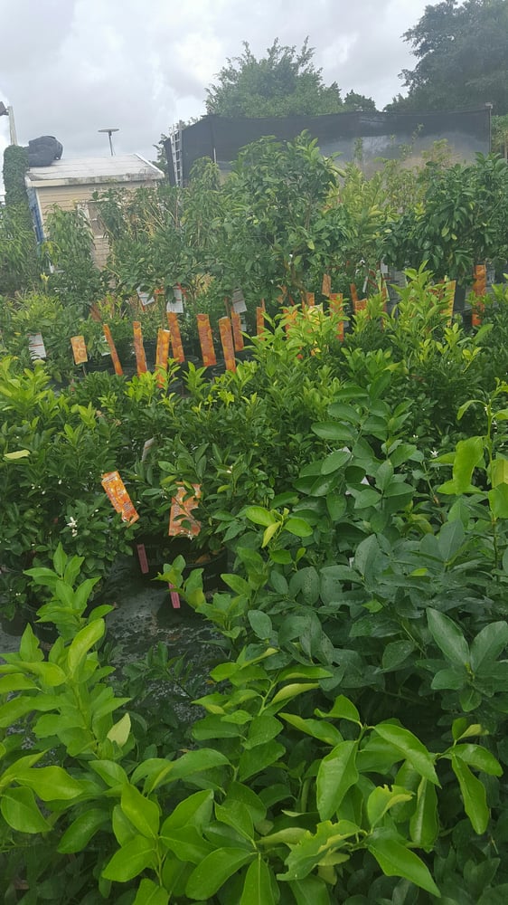 Casey’s Corner Nursery 12 Photos Nurseries & Gardening 31877 SW