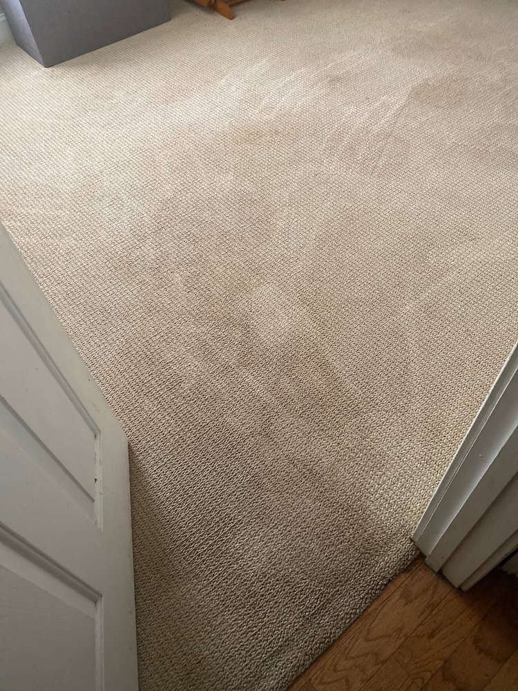 All Ways Organic Citrus Carpet & Upholstery Cleaning