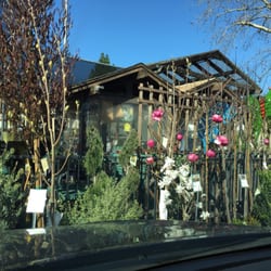 Sloat Garden Center 25 Reviews Nurseries Gardening 828 Photo Of Sloat Garden Center Danville Ca United States Things Are Blooming