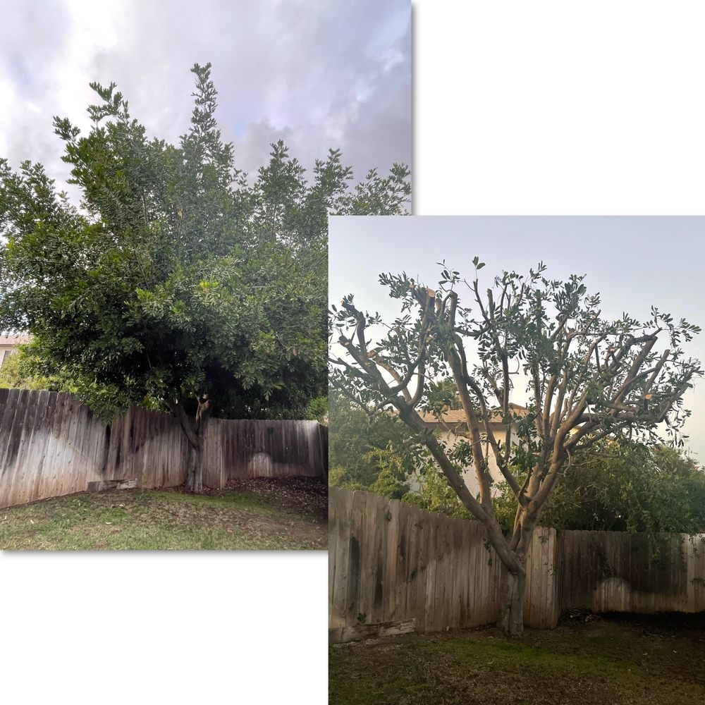 Green Oaks Landscape Maintence