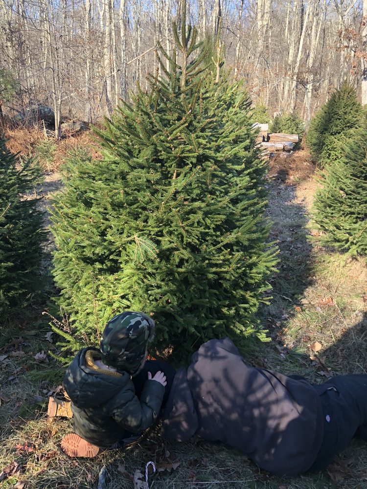 Ebenezer's Tree Farm