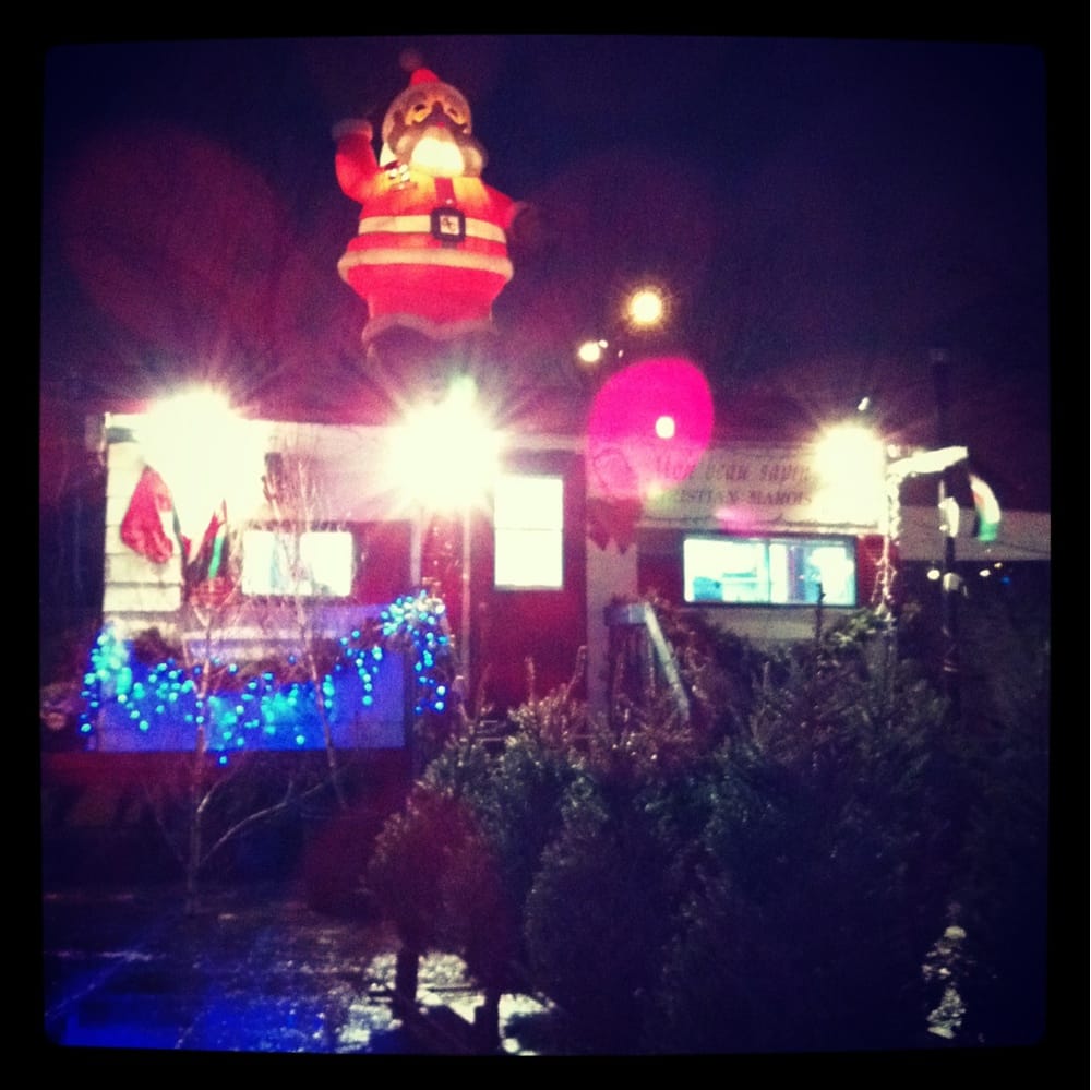 Mon Beau Sapin