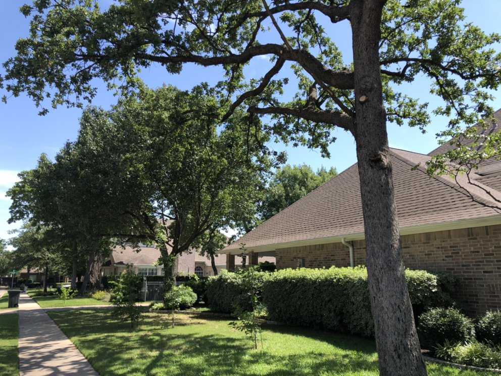 Alvarado Tree Trimming & Care