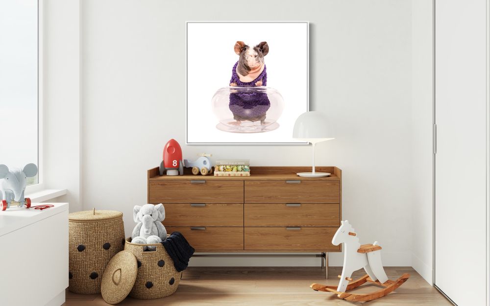 Ph2grphy - a pet portrait studio
