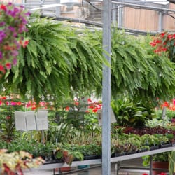 Grant Line Nursery Garden Center 52 Photos Nurseries Photo Of Grant Line Nursery Garden Center New Albany In United States