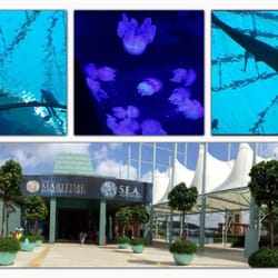 s e a aquarium