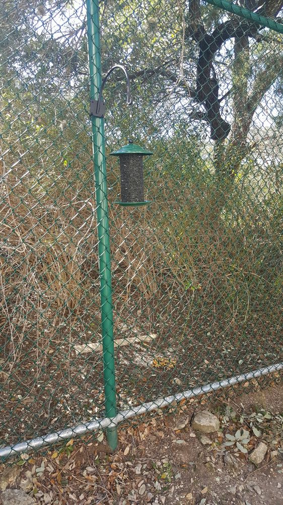 wild birds unlimited pet stores 14602 huebner rd san wild birds unlimited pet stores 14602 huebner rd san