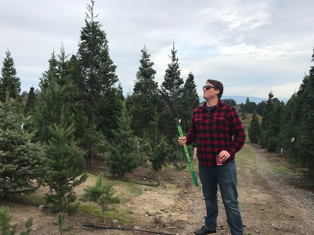 reindeer ridge christmas tree farm 12枚の写真 16件のレビュー reindeer ridge christmas tree farm 12枚の写真 16件のレビュー