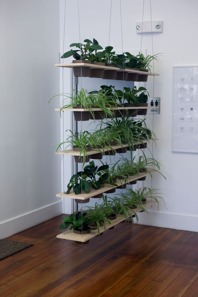 crooked nest + swell spaces custom plant ladder/room divider - yelp crooked nest + swell spaces custom plant ladder/room divider - yelp