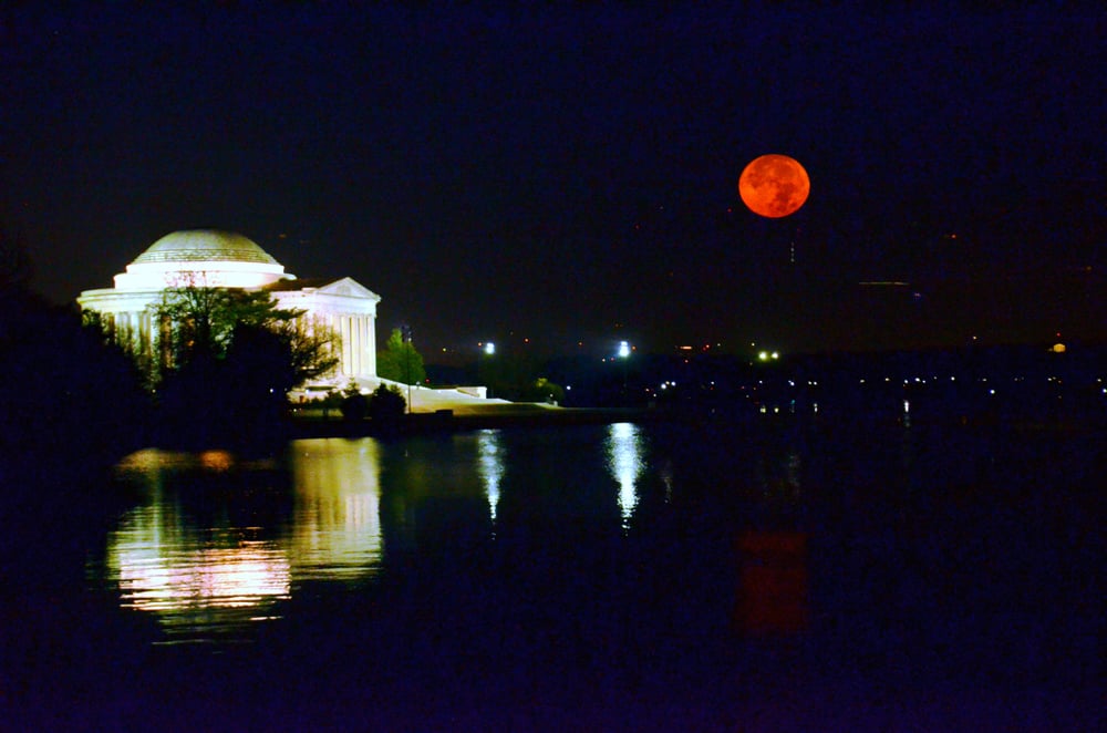 Washington Photo Safari
