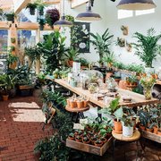 Pistils Nursery 137 Photos 121 Reviews Nurseries Gardening Sunny Corner Photo Of Pistils Nursery Portland Or United States The Solarium At