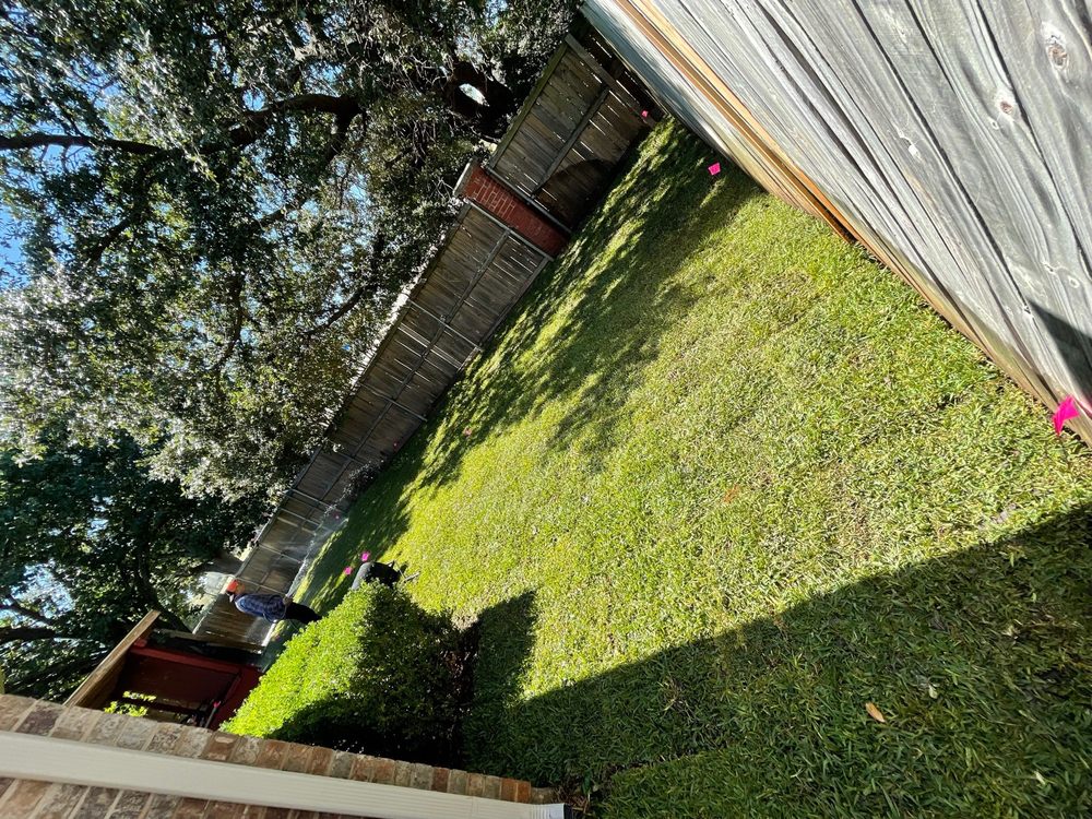 Sims Grass