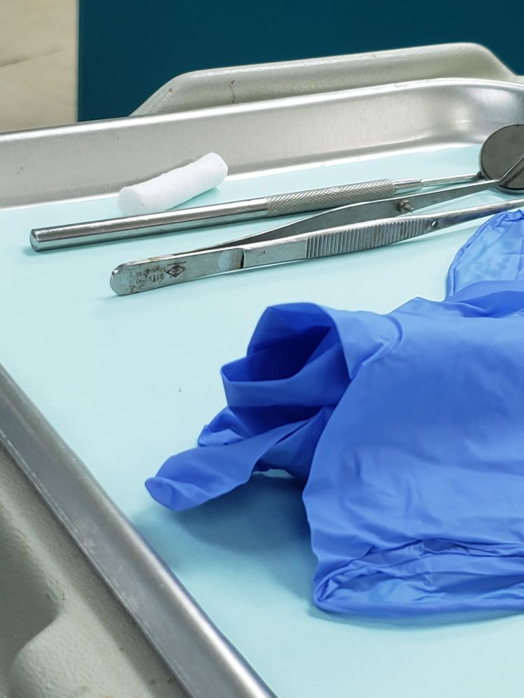 image of business Professional Dental Solutions