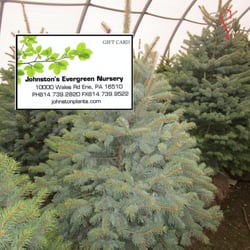 Johnston Evergreen Nursery Nurseries Gardening 10000 Wales Rd Photo Of Johnston Evergreen Nursery Erie Pa United States S Gift
