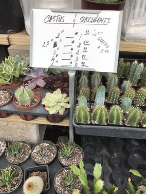 Jrn Nursery 2 11701 Alief Clodine Rd Houston Tx Nurseries Mapquest