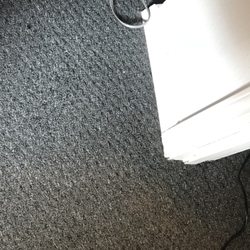 The Carpet Doctor 23 Photos Cleaning Port Orchard Wa The Carpet Doctor 23 Photos Cleaning Port Orchard Wa Phone Number Yelp