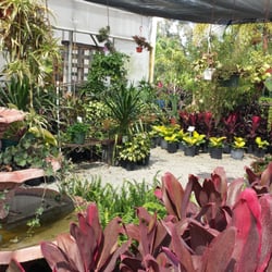 Southern Gardens Home Design Ideas And Inspiration Photo Of Southern Gardens Nursery West Palm Beach Fl United States