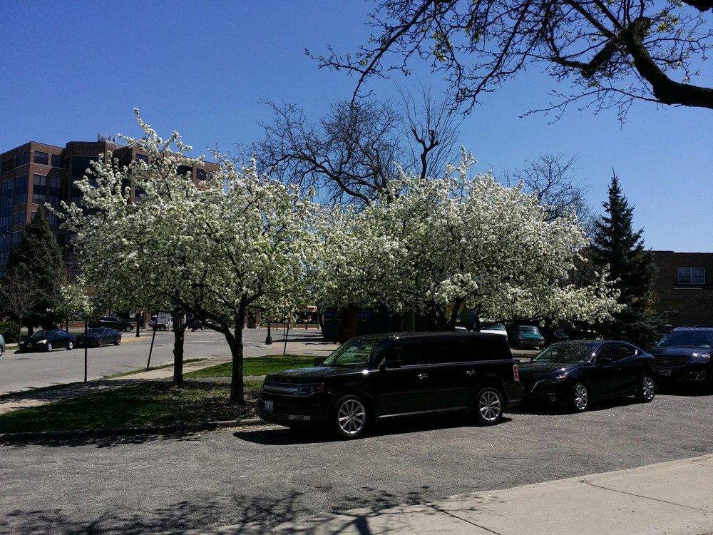 Chicago Park District Jefferson Memorial Park 17 Photos & 16