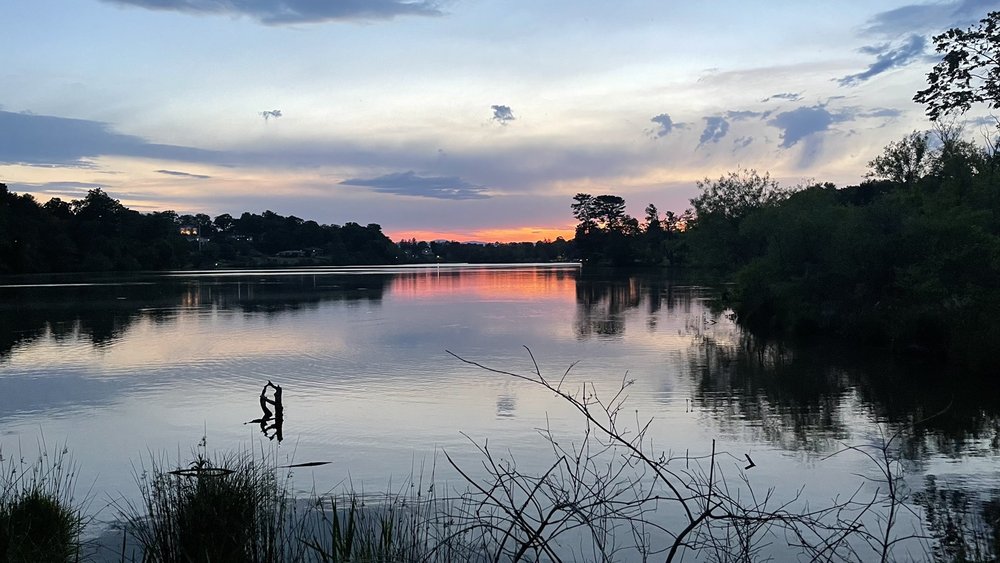 Beaver Lake Image