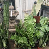 Payless Hardware Rockery Nursery 202 Photos 102 Reviews