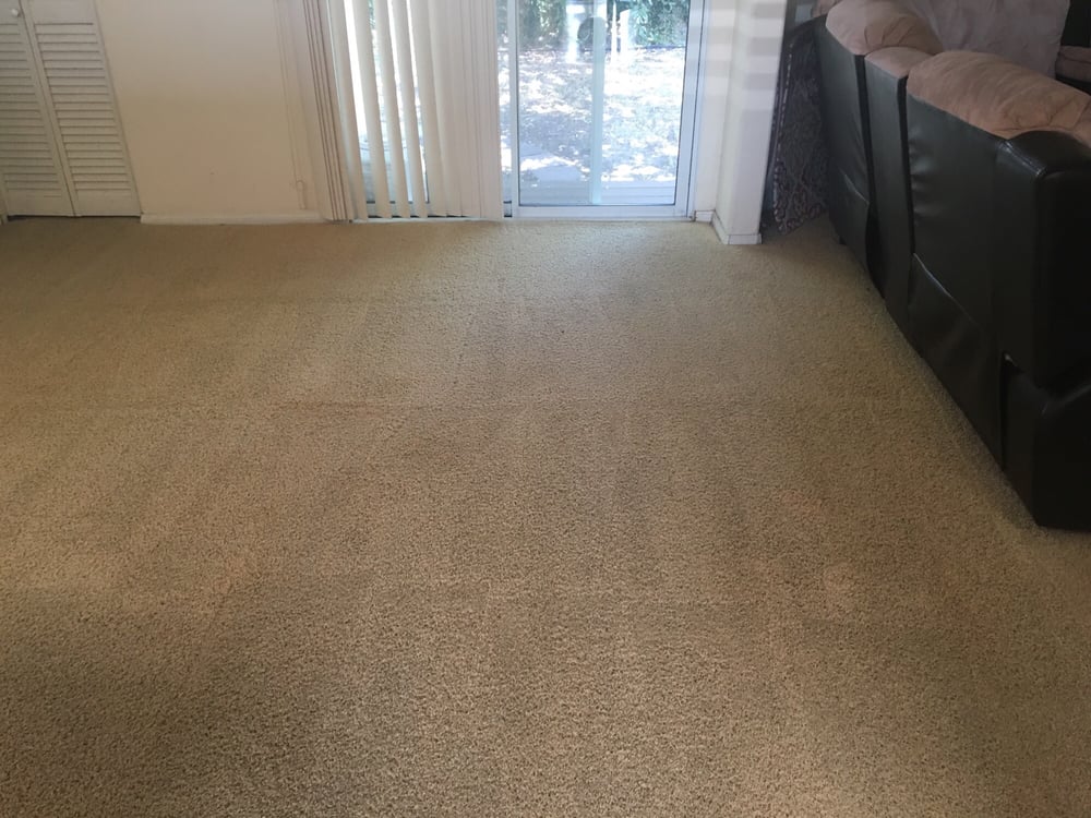 National Carpet Cleaning 30 Photos & 37 Reviews Carpet Cleaning
