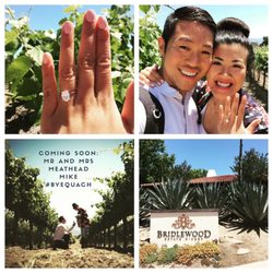 Bridlewood Estate Winery 427 Photos 265 Reviews Wineries Photo Of Bridlewood Estate Winery Santa Ynez Ca United States I Got