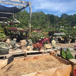 Hampton Nursery Landscapes Nurseries Gardening 205 W Montauk Photo Of Hampton Nursery Landscapes Bays Ny United States