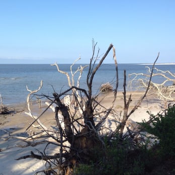 Talbot Island State Park 104 Photos 21 Reviews Parks Photo Of Talbot Island State Park Jacksonville Fl United States Boneyard