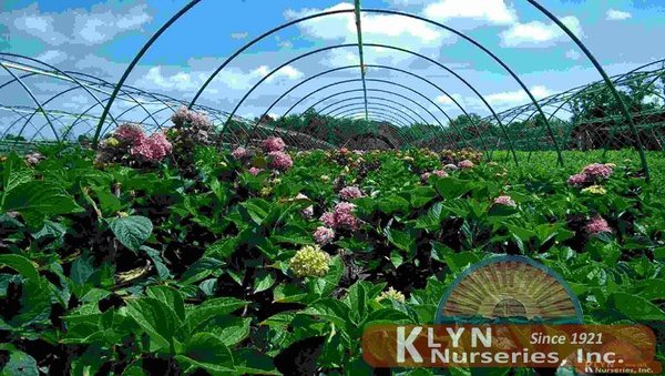 Klyn Nurseries Gardening 3322 S Ridge Rd Perry Oh Photo Of Klyn Nurseries Perry Oh United States Inc