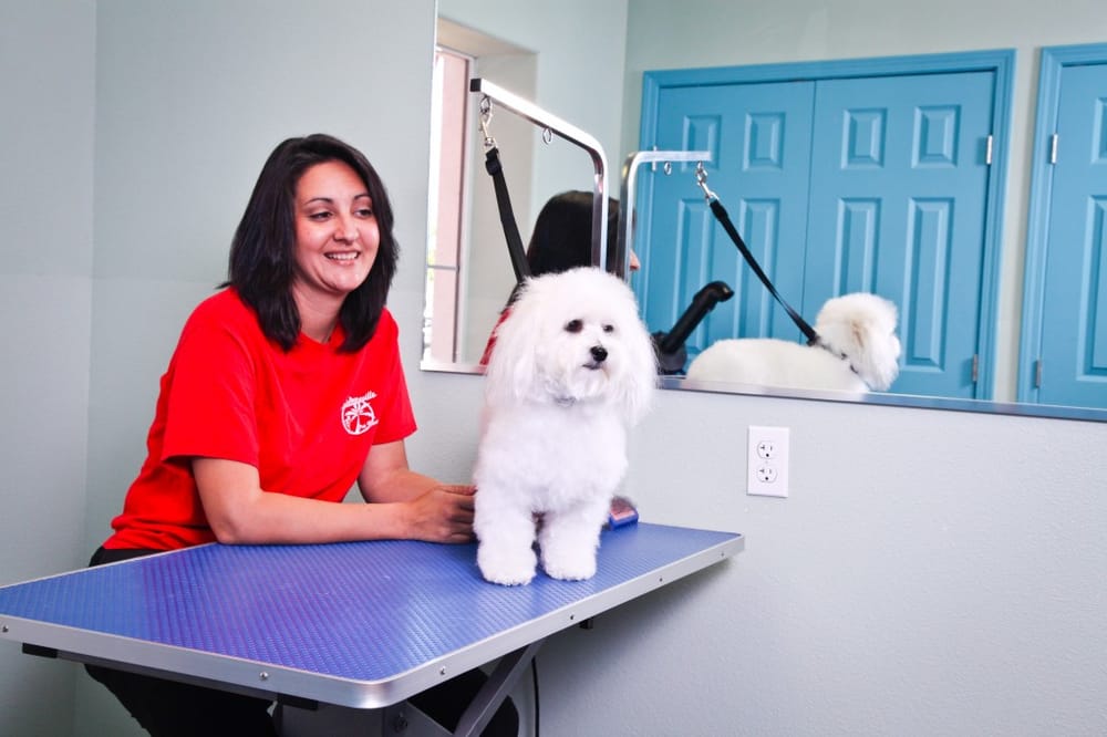 Barkaritaville Pet Resort 22 Photos & 26 Reviews Pet Groomers