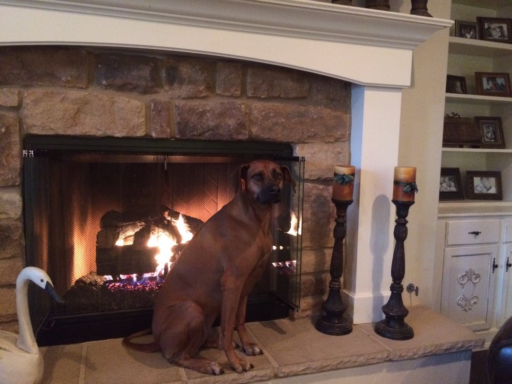Fireplaces Plus 22 Photos 31 Reviews Fireplace Services 1833 Fireplaces