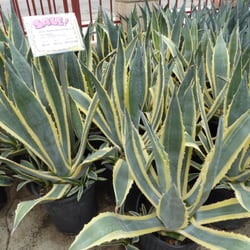 Chatsworth Landscape Nursery 23 Photos 29 Reviews Chatsworth Landscape Nursery 23 Photos 29 Reviews