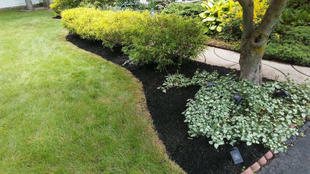 LMG property management Call My Gardener