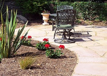 Darcy's Garden