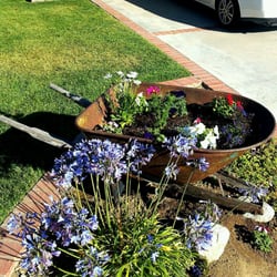 Loma Vista Nursery 2 Closed Nurseries Gardening 18272 Photo Of Loma Vista Nursery 2 Yorba Linda Ca United States Summer