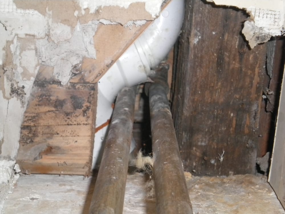 image of business Arrow Drain Cleaning Service