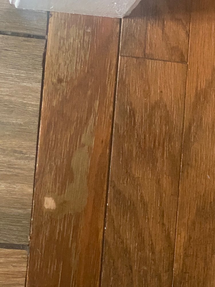 image of business Carolina Hardwood Flooring