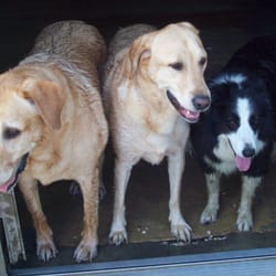 Best Friends Pet Care Marlboro Sitting 234 Boundary Rd Photo Of Best Friends Pet Care Marlboro Nj United States