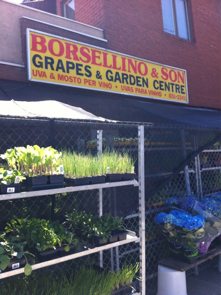 Borsellino & Son Grape Importing