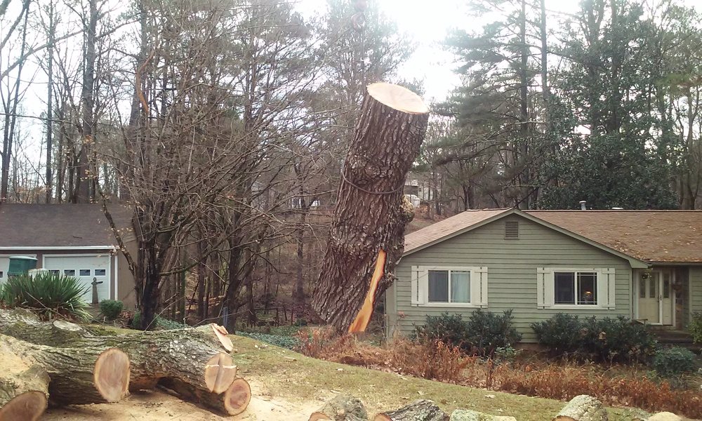 Timberline Tree Service Landscaping Services 1710 Timberline Tree Service Landscaping Services 1710 Kennesaw Due West Rd Nw Ga Phone Number Yelp