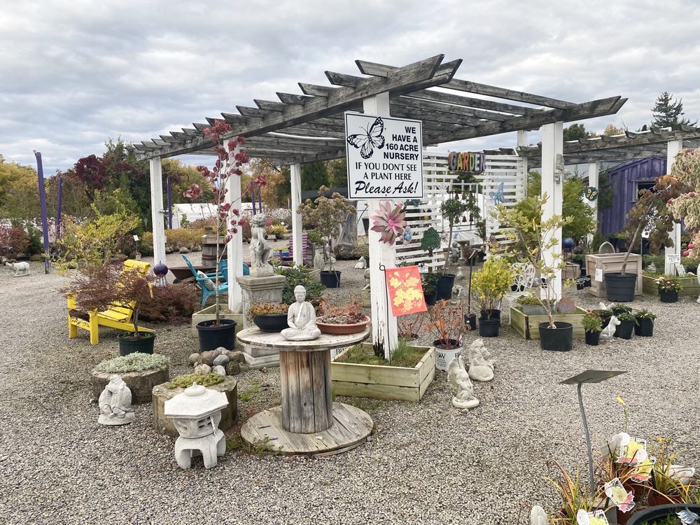 Marcellus Nursery