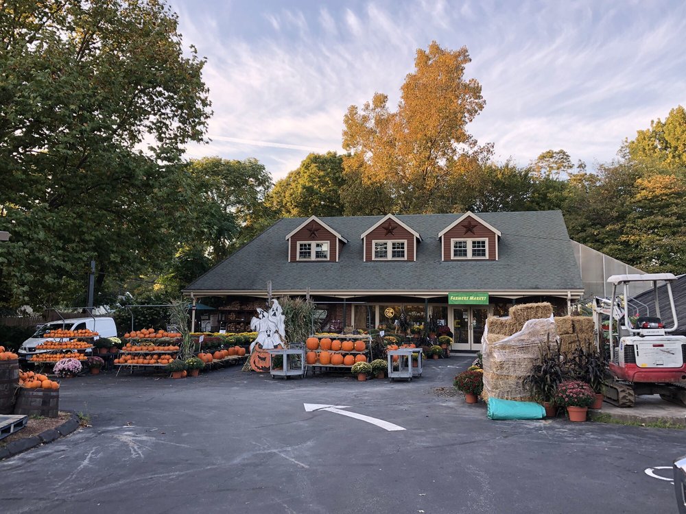 Springdale Florist & Garden Center