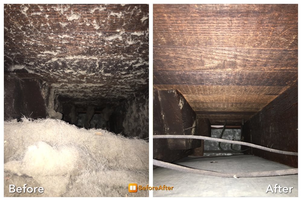 Master Kleen Cleaning Services