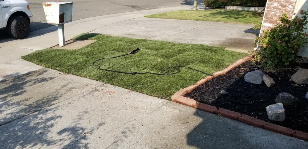 Shaw Landscapes