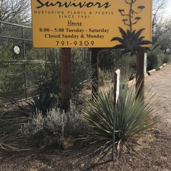 Desert Survivors Native Plant Nursery 16 Reviews Nurseries Photo Of Desert Survivors Native Plant Nursery Tucson Az United States My